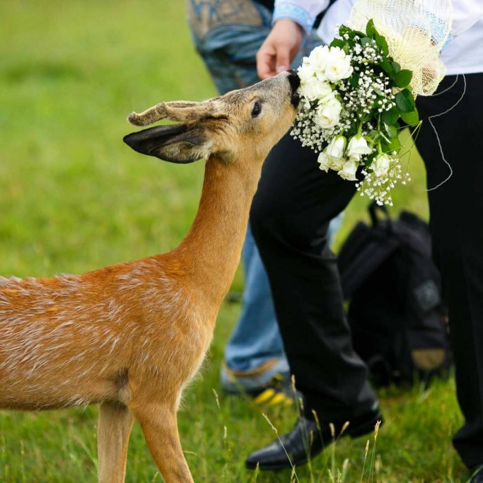 Cari Tahu 9 Wedding Venue Unik Untuk Pernikahan Berkesan!